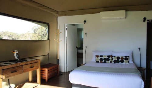 Tienda Deluxe (Safari)