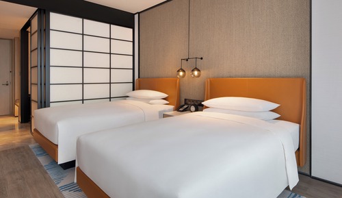 Habitación Deluxe, 2 camas individuales