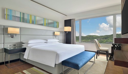 Habitación ejecutiva, 1 cama de matrimonio grande