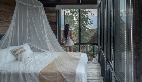 Casa en un árbol estándar