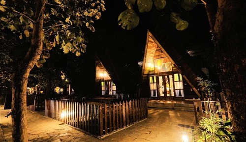 Casa de lujo en un árbol