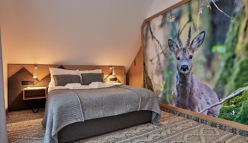 Apartamento Deluxe, 1 cama de matrimonio grande con sofá cama, vistas a la montaña