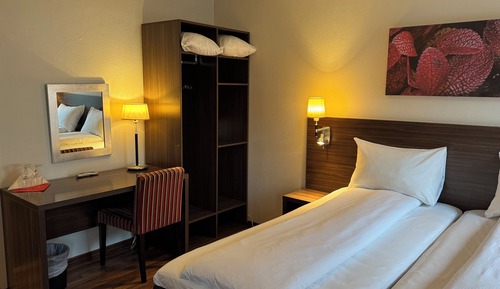 Habitación estándar con 2 camas individuales