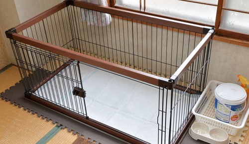 Pet Friendly, Japanese-Western Style Room