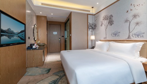 Habitación Business individual