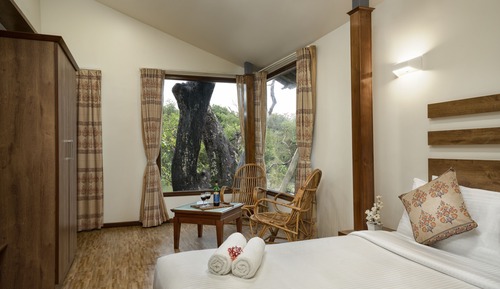Casa en un árbol Gallery