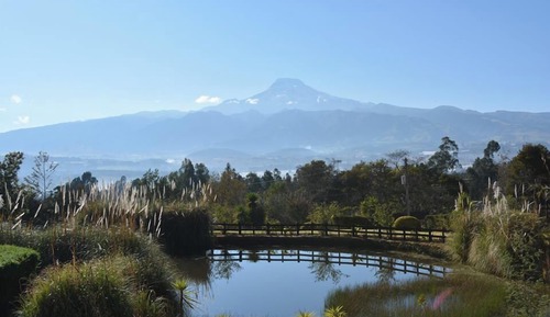 Cabaña familiar, vistas al jardín