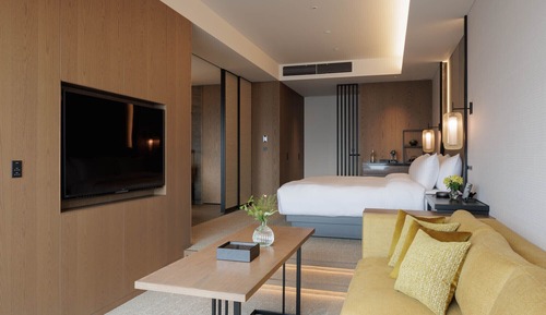 Habitación Premier, 1 cama de matrimonio grande, no fumadores, vistas al parque (Balcony)