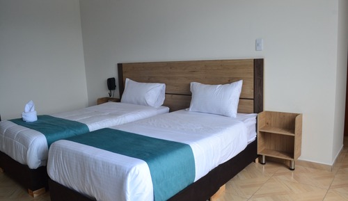 Habitación ejecutiva con 2 camas individuales