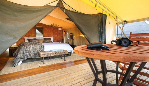 Tienda Deluxe, 5 habitaciones