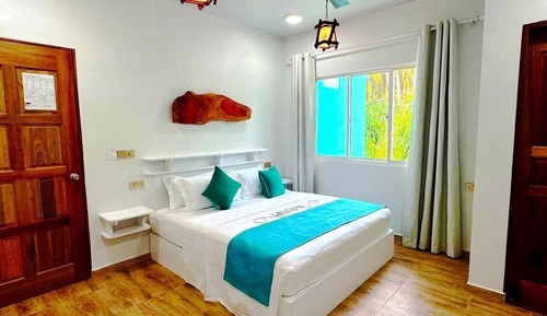 Habitación estándar con 1 cama doble o 2 individuales