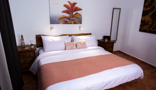 Habitación estándar con 1 cama doble o 2 individuales