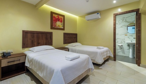 Habitación ejecutiva con 2 camas individuales