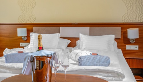 Habitación estándar con 1 cama doble o 2 individuales
