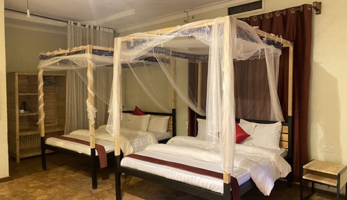 Family Twin Room