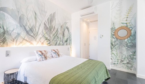 Habitación Elite