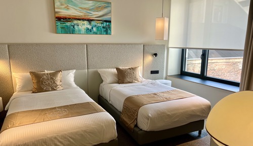 Habitación Deluxe con 2 camas individuales
