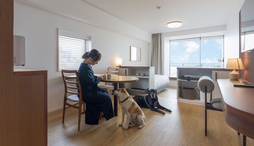 Habitación de diseño con 2 camas individuales (Dog friendly/1off-site parking lot)