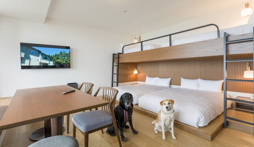 Loft de diseño (Bunk bed,Dog friendly/offsite parking)