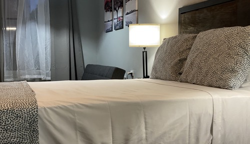 Suite estudio Premium