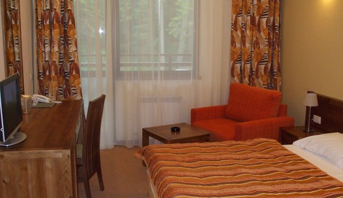 Habitación estándar con 1 cama doble o 2 individuales