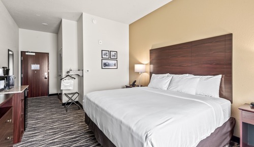 Habitación, no fumadores (King Guestroom)