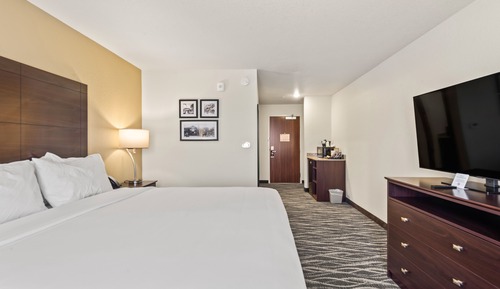 Habitación, no fumadores (Single King Guestroom)