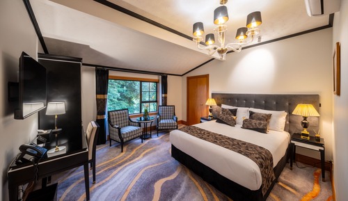 Estudio superior (Lodge Queen)