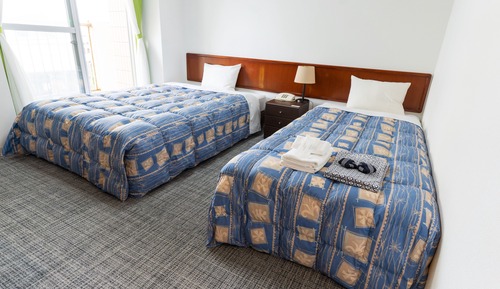 Habitación clásica con 2 camas individuales