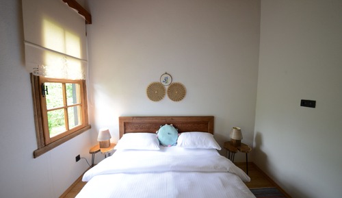 Habitación clásica, 1 cama de matrimonio