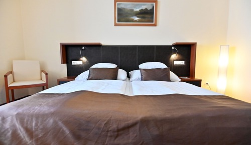 Habitación estándar con 1 cama doble o 2 individuales