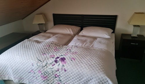 Habitación junior