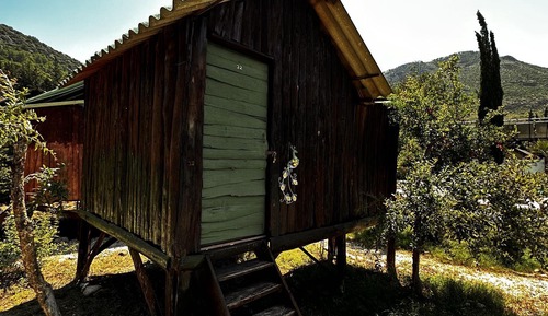 Casa económica en un árbol
