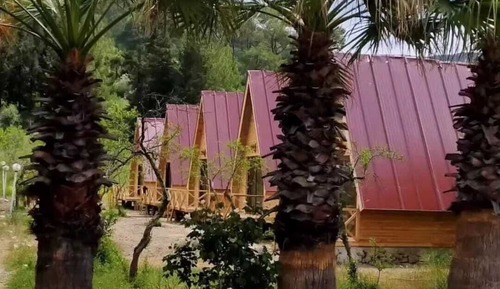 Bungalow Deluxe