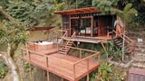 Premium Cabin
