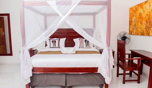Habitación junior