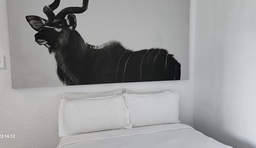 Habitación básica
