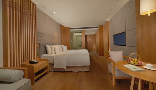 Habitación Deluxe