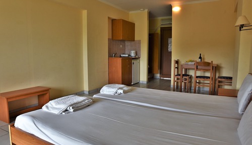 Estudio estándar, 1 habitación, vistas al jardín