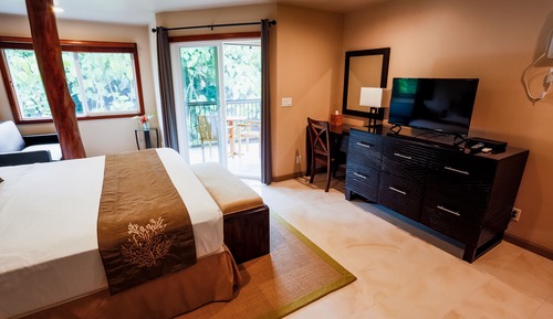 Suite estudio de lujo, 1 cama de matrimonio grande, vistas al jardín