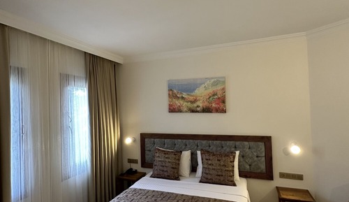 Basic Triple Room