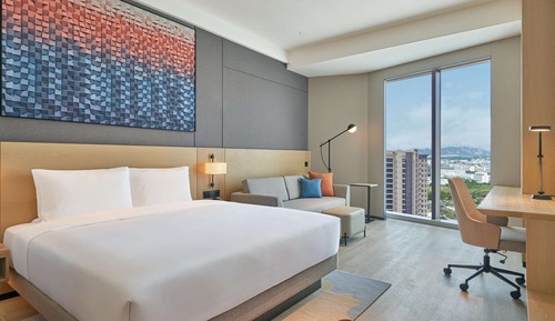 Habitación, 1 cama de matrimonio grande con sofá cama