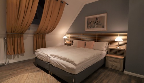 Habitación Confort con 1 cama doble o 2 individuales