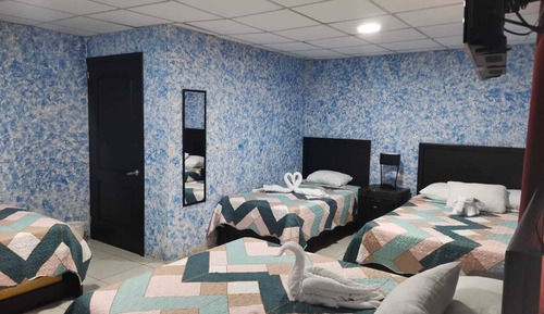 Suite estudio familiar