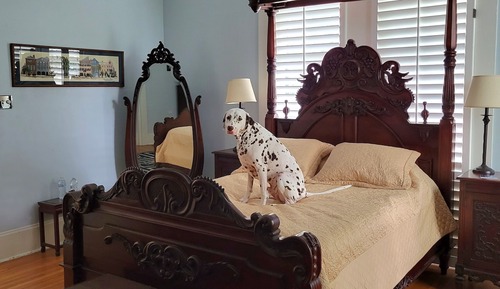 Exclusive Room