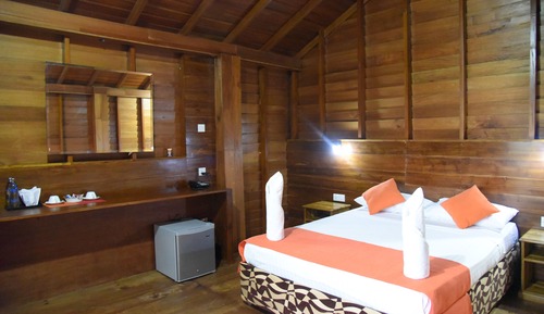 Casa Deluxe en un árbol
