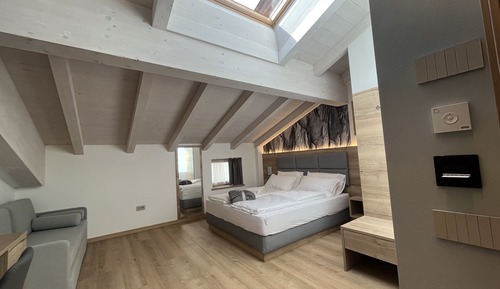 Habitación cuádruple Deluxe, 1 cama de matrimonio con sofá cama, baño privado
