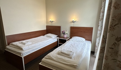 Habitación estándar con 2 camas individuales