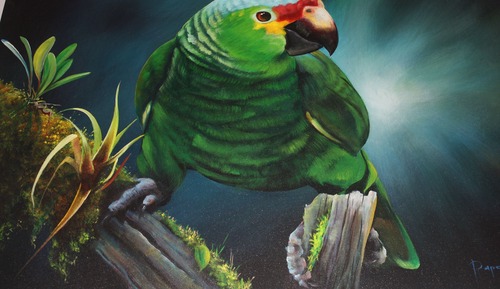 Honeymoon Suite, 1 King Bed, Pool View, Poolside (Parrot)