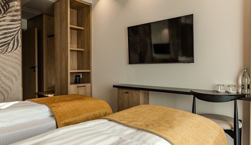Habitación Deluxe con 2 camas individuales